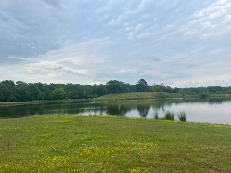 A calm pond bordered by grass and wildflowers, with a line of trees in the background beneath a mostly cloudy sky.