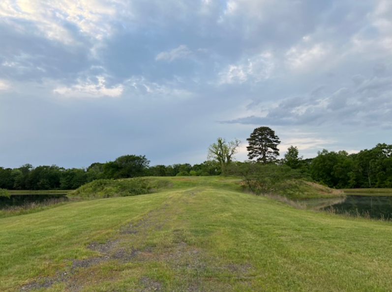 A grassy path leads to a small hill with trees under a cloudy blue sky, surrounded by green foliage and bordered by water on both sides.
