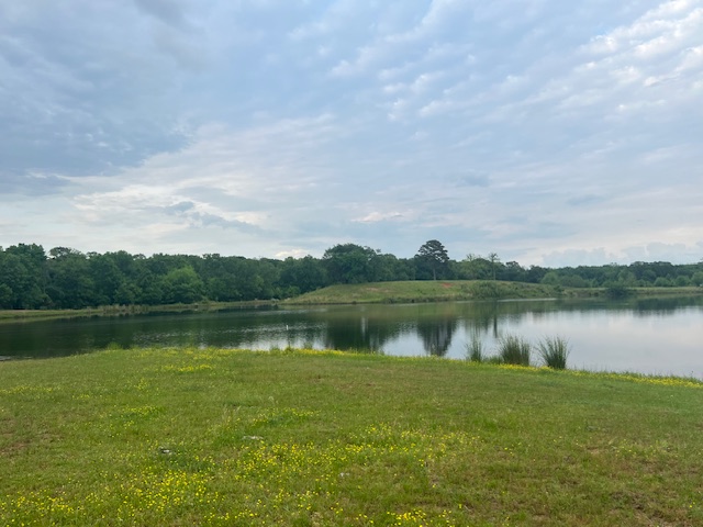A calm pond reflects the cloudy sky, surrounded by green grass and scattered yellow wildflowers, with trees lining the background under a partly cloudy sky.