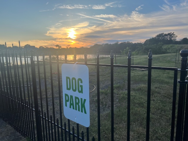 Black metal fence with a "Dog Park" sign in green letters, grassy field, and a lake with the sun setting in the background.